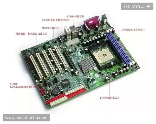 开云最新网址最新版本上线后用户常见问题及解决方案分析