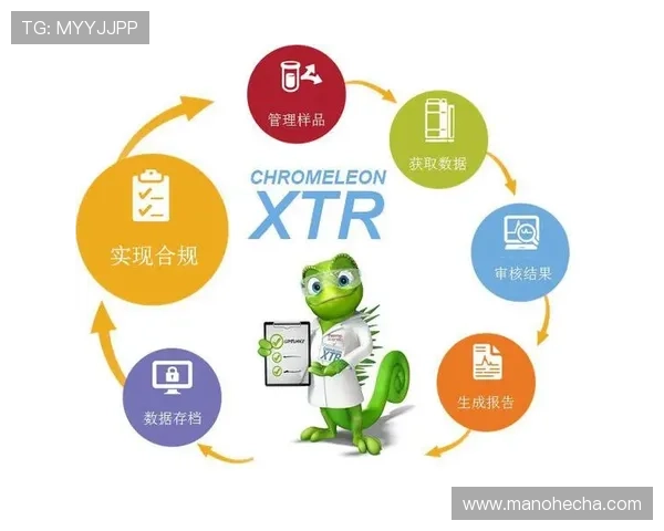 探索开云真人中国官方网站的安全性与可靠性分析