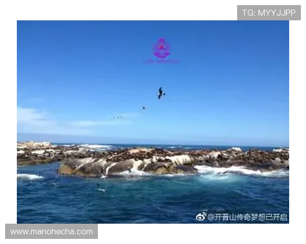 开运云体育官网app带你开启幸运之门，轻松实现财富梦想的最佳平台推荐